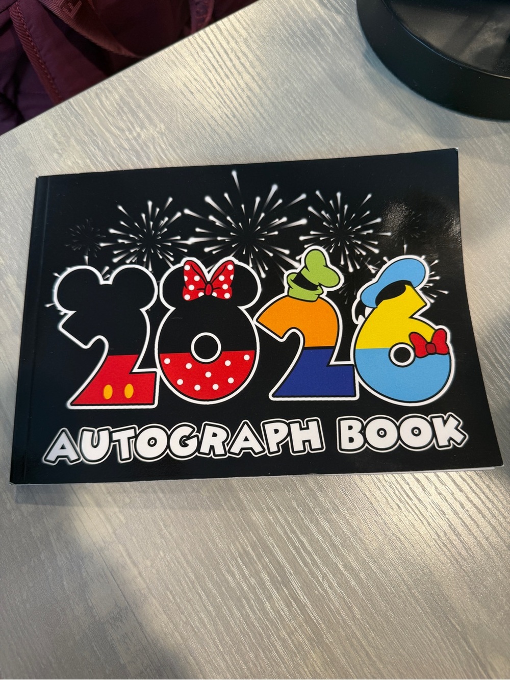 Disney Parks 2026 Autograph Book NEW Unused | Disneyland & Disney World Souvenir - Picture 2 of 6